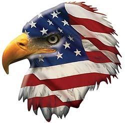 Patriotic American Flag Eagle Head Facing Left Decal