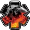 
	Grim Reaper Fire Rescue EMS Decal with Star of Life in Fire

