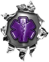 
	Mini Rip Torn Metal Bullet Hole Style Graphic with Purple EMS EMT MFR Paramedic Star of Life
