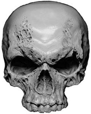 
	Skull Decal / Sticker in Gray

