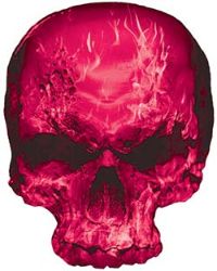 
	Skull Decal / Sticker with Pink Inferno Flames
