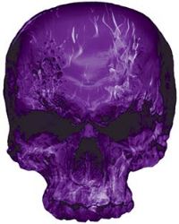 
	Skull Decal / Sticker with Purple Inferno Flames
