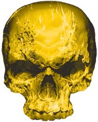 
	Skull Decal / Sticker with Yellow Inferno Flames
