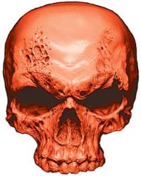 
	Skull Decal / Sticker in Orange
