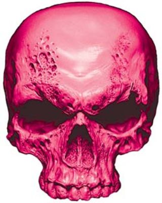 
	Skull Decal / Sticker in Pink

