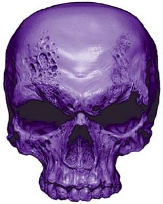 
	Skull Decal / Sticker in Purple
