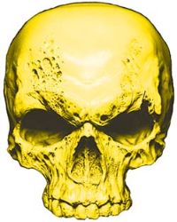 
	Skull Decal / Sticker in Yellow

