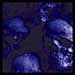 Blue Skulls