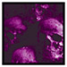 Purple Skulls