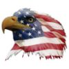 Patriotic American Flag Bald Eagle Head Facing Left Decal