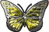 
	Chrome Butterfly Decal in Yellow Inferno
