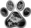 
	Dog Cat Animal Paw Sticker Decal in Gray Inferno
