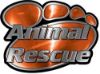 
	Animal Pet Rescue Paw Decal in Orange

