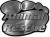 
	Animal Pet Rescue Paw Decal in Silver
