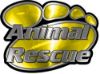 
	Animal Pet Rescue Paw Decal in Yellow
