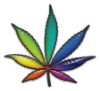 Cannabis Leaf / Marijuana Weed Decal / Sticker