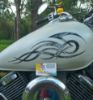 Tribal Flame Decals for Motorcycle Tanks, Cars and Trucks in Gray Inferno Flames on White Motorcycle Tank