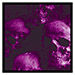 Skull Purple